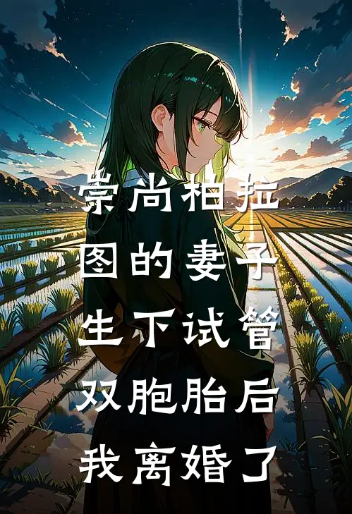 崇尚柏拉图的妻子生下试管双胞胎后，我离婚了